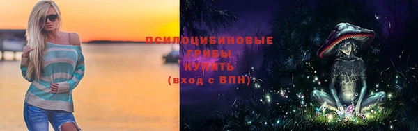 соль ск Верея