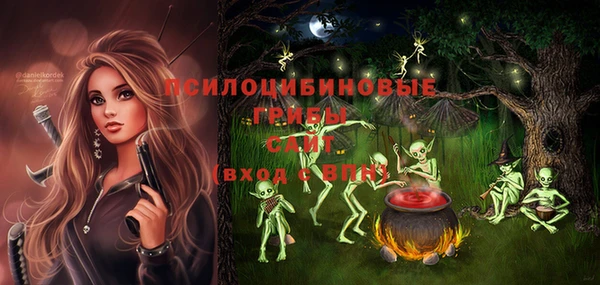 индика Володарск
